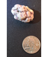 Rare Hawaiian Purple Coral Rock Fossil Stone Natural Beach Collectible S... - $9.99