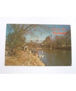 Greetings From Arkansas - Scenic Views - Flaming Fall Review Postcard - $4.14 CAD