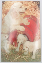 Antique Dexter Press Cocker Spaniel Mama Dog w/Puppies in a Barrel Postcard - £6.86 GBP