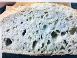 San Francisco French Bread Sourdough Starter Yeast Sally - £6.93 GBP