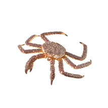 CollectA King Crab Figure (Extra Large) - £17.45 GBP
