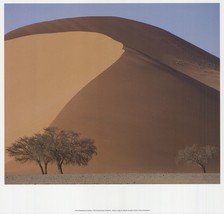 ARCHIV KIEDROWSKI Red Namib Desert, Namibia, 2009 - £29.76 GBP