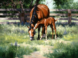 Art Giclee Printed Oil Painting Print Mare and py Canvas - £6.73 GBP+