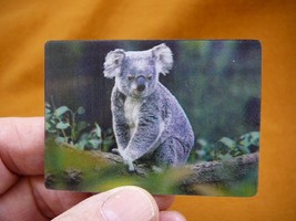 (MAG-4) 3D MAGNET Fridge refrigerator Koala bear on eucalyptus tree love... - £6.12 GBP