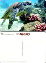 Sea Turtle Bebe Printed on Chlorine Free Plantation Grown Paper VTG Postcard - £7.51 GBP
