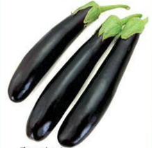 Imported Japanese Early Black Long Eggplant Vegetable, 300 Seeds - £11.12 GBP