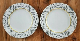 Two Ted Baker PORTMEIRION Dinner Plates LANGDON 10.75&quot; NICE - £35.38 GBP