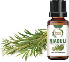 10 ml Natural Pure  Niaouli/ Melaleuca quinquenervia Essential Oil - $29.39