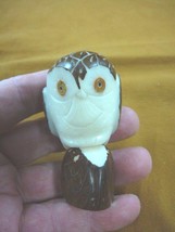 TNE-BIR-OW-24B) white brown Owl bird owls birds TAGUA palm NUT Figurine ... - £16.23 GBP