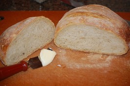 Gluten Free SOURDOUGH BREAD STARTER yeast San Francisco SAMMY plus recip... - $7.72