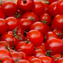 CLK SMALL RED CHERRY TOMATO SEEDS 100+ GARDEN vegetables SAUCE salad - $3.07
