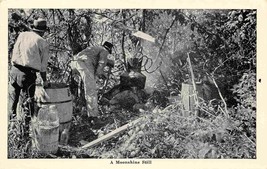 Moonshine Still in the Woods American South 1952 postcard - £5.14 GBP