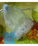 40+ Pieces ~ Genuine Lake Erie Beach Glass ~ Surf Tumbled ~ White in Col... - $421.28 MXN