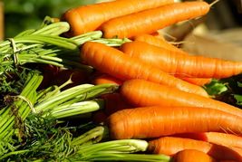 Danvers Carrot 800 Seeds Fresh Vegetable Garden Seeds  Non-GMO  USA - £9.40 GBP