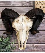 Large Bighorn Ram Skull Wall Decor 11&quot; Wide Taxidermy Hanging Sculpture ... - €40,93 EUR