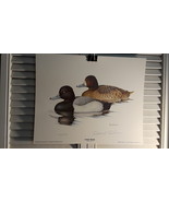  LESSER SCAUP , LIMITED EDITION ART PRINT , 422/780,  ROBERT O. RICHERT - $2,808.23 MXN