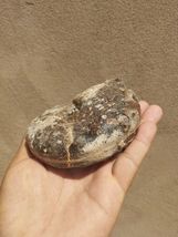 Item image 15