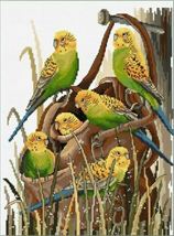 Bush Budgies 26 x 34cm counted cross stitch kit by Fiona Jude of Country... - £42.22 GBP