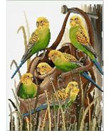Bush Budgies 26 x 34cm counted cross stitch kit by Fiona Jude of Country... - £41.65 GBP