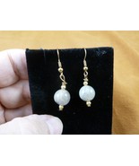 DP1-12a REAL DINOSAUR POOP 10mm bead dangle EARRINGS Utah ancient Dino C... - €14,49 EUR