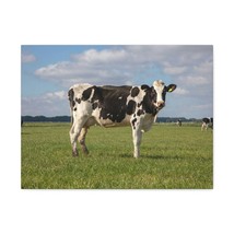 Majestic Cow Art Majestic Cow Print Animal Wall Art Wildlife Canvas Prints Wall - £55.72 GBP+
