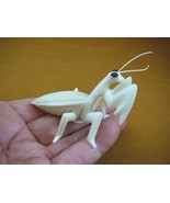 TNE-PRA-321G little Praying Mantis bug TAGUA NUT Figurine carving VEGETA... - £24.06 GBP