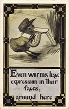 1910 COBB X Shinn Postcard - DUCK Characters -EVEN WORMS HAVE FACES - Po... - £3.98 GBP