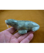 (ak-wal-31) large Walrus carving green Soapstone Alaska art signed J Aye... - $2,025.75 MXN