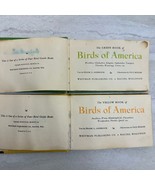 The Green Book and Yellow Book of Birds 1941 Ashbrook HC - £13.50 GBP