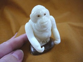 (tne-ape-or-313a) ORANGUTAN monkey ape TAGUA NUT palm nuts figurine carv... - $26.61