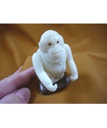 (tne-ape-or-313a) ORANGUTAN monkey ape TAGUA NUT palm nuts figurine carv... - $498.14 MXN