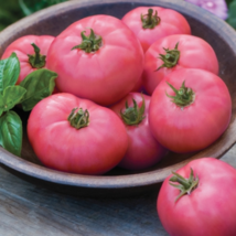 Hybrid Rose Pink Big Tomato - 100 Seeds - $6.01