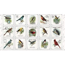 24&quot; X 44&quot; Panel Song Birds Patch Postcards Art Journal Cotton Fabric D652.22 - £8.50 GBP
