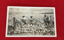 Vintage Postcard RPPC HAWAII Pineapples at Harvest Time fields picking f... - £22.74 GBP