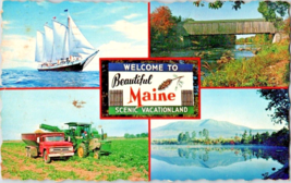 Postcard Maine Greetings From Scenic Vacationland Chrome Card  5.5 x 3.5 Inches - £3.88 GBP