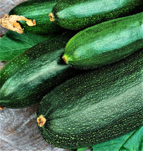 Dark Green Zucchini Seeds 30 Seeds Non-Gmo Fresh Garden - £3.13 GBP