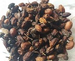 100 gms Organic Dried NEEM Fruit SEEDS NIMBOLI Azadirachta Indica  FREE ... - £8.37 GBP