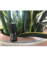 doTERRA Douglas Fir 5 mL Essential Oil  NEW & SEALED Exp 07/28 - $19.00
