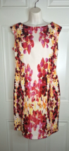 Adrianna Papell Sleeveless Floral Shift A-Line Fully Lined Dress Size 6P - $21.84