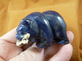 Y-BEA-BF-727 Blue sodalite BEAR with spotted Fish gemstone FIGURINE I lo... - £18.32 GBP