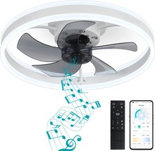 Dewshrimp Flush Mount Ceiling Fan With Lights Bladeless Ceiling Fan With - £97.16 GBP