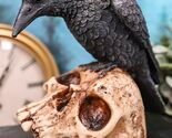 Foreboding Dark Crow Raven On Skull Statue 5"Tall Ossuary Scavenger Rave... - $26.99