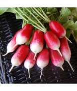SKM Siam Queen Thai Basil 50 Seeds Easy to Grow - $17.73 CAD