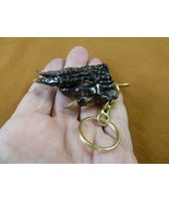 (G120-47) 2&quot; long Gator FOOT Keychain PAW ALLIGATOR TAXIDERMY med claw w... - $212.79 MXN