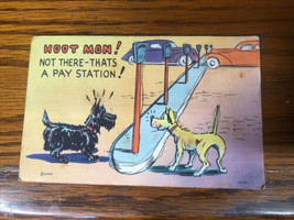 Postcard Hoot Mon Not There Pay Station Dog Watch Your Step Vintage Dogs - £17.69 GBP