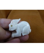 (y-BUN-203) white BUNNY RABBIT Alabaster stone FIGURINE love rabbits HOP... - $13.09