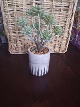 Succulent Decorative Pot - $29.58