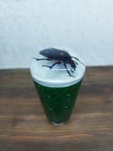 Underwater Real Bug Beetle Gear Shift Knob Acrylic Resin_c127 - $84.15