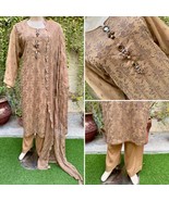 Pakistani Dark Beige 3Pcs Fancy Chiffon Dress with thread embroidery ,XL - $88.11
