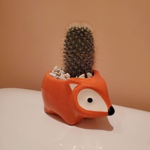 Fox Planter with Cactus, Live Succulent Plant in 5" Orange Ceramic Animal Pot image 3